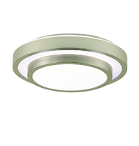 Low Profile Ceiling Lights